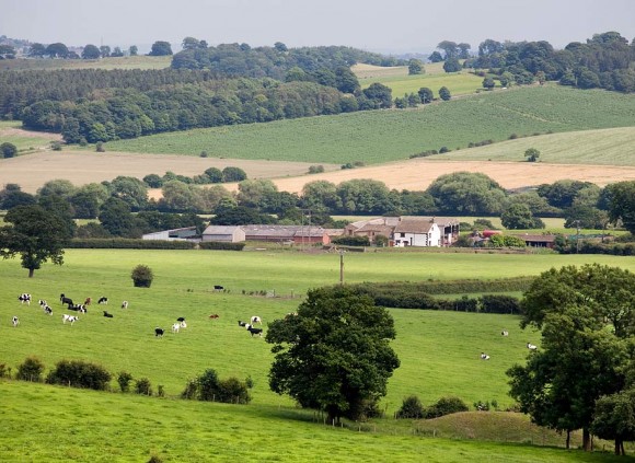 Fantastic countryside surrounds all the holiday cottages at Gilcar Farm.
